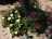 image-20220930134240-4.jpeg