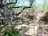 image-20220930134301-6.jpeg