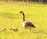 IMG_2335.jpeg