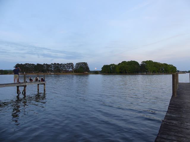 P1360168.jpeg