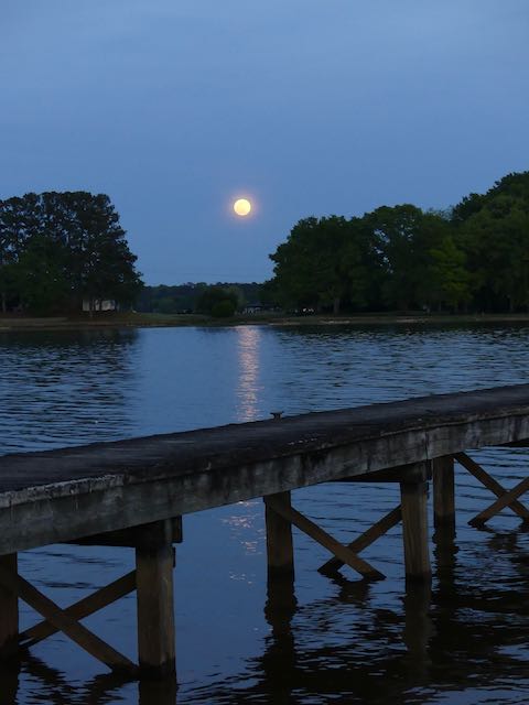 P1360191.jpeg