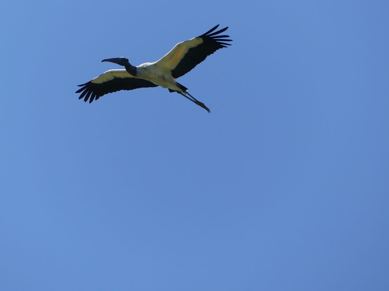 P1360847.jpg