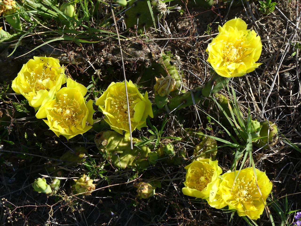 P1370054.jpg