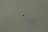 RAJ05687 (1).jpeg