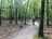 IMG_4781.jpeg