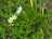 image-20220930141644-2.jpeg