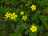 image-20220930141653-3.jpeg