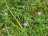 image-20220930141758-8.jpeg