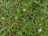 image-20220930141809-9.jpeg