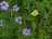 image-20220930140831-7.jpeg