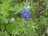 image-20220930140844-8.jpeg