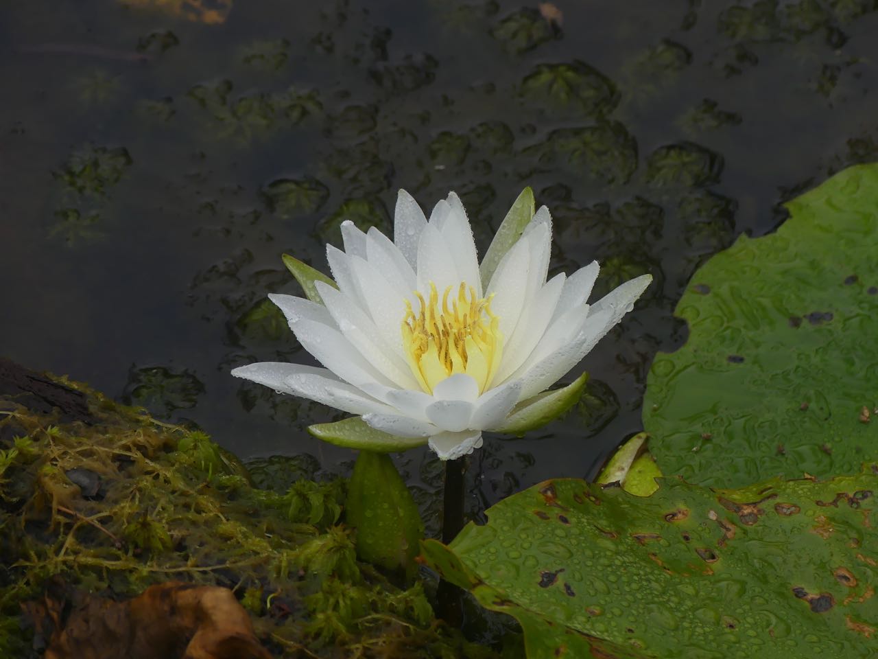 P1390018.jpg
