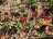 IMG_8291.jpeg