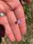 IMG_8292.jpeg