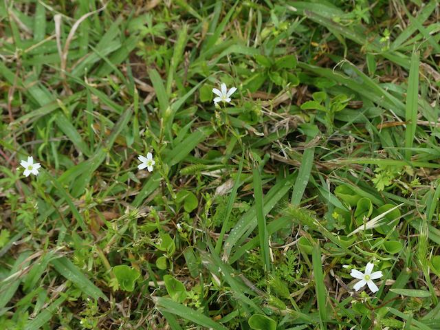 image-20220930141809-9.jpeg