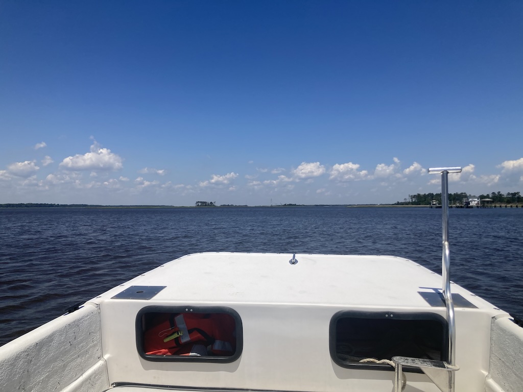 image-20240425213933-1.jpeg