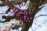 DSC00293.jpeg