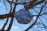 DSC00297.jpeg