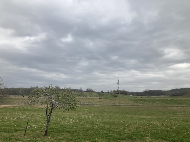 image-20240407125144-7.jpeg