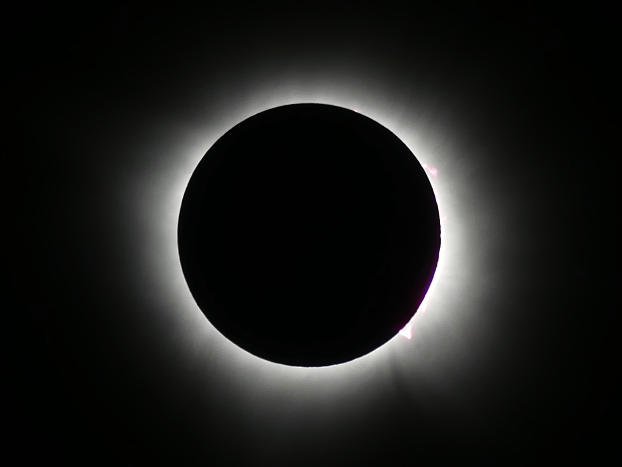 P1500337.jpg