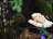 B01DF900-11CF-4565-AB83-DFE75856CF0F.jpeg