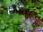 EF08A93C-E353-46B3-8FBD-094D3191C833.jpeg