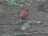image-20240410204443-2.jpeg