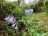 image-20240410205440-5.jpeg
