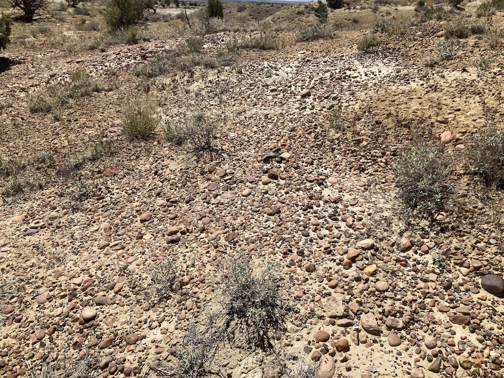image-20240515203912-4.jpeg