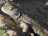 6128F4DF-4EA4-4A33-976E-62BC8362B13B.jpeg