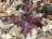 74A1B641-F9F4-40AA-B0DC-545018534980.jpeg