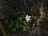 9B58A57E-C86A-4D13-8CC0-A401DBEA3AE7.jpeg