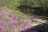 image-20240413220504-14.jpeg