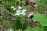 1D9CDEF0-9372-427E-8029-EC6C16AD7B52.jpeg