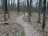 53090258-72AC-4178-A421-CBBC6E2D0A9F.jpeg