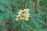 55516CE3-8AB0-42ED-A0EF-7408F7424E2A.jpeg