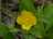 7A2F5AE8-ECD4-4E70-BC4D-2D199FC8E893.jpeg