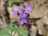 7D6AFE24-CDAF-410D-A96F-6638DAED1B64.jpeg
