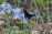 B7098798-58BE-4C8B-941B-46CC6C176E2E.jpeg