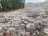 image-20240416222738-4.jpeg