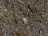 image-20240416230155-6.jpeg
