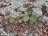image-20240416230442-7.jpeg