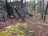 image-20240416231224-10.jpeg