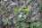 image-20240416232540-13.jpeg