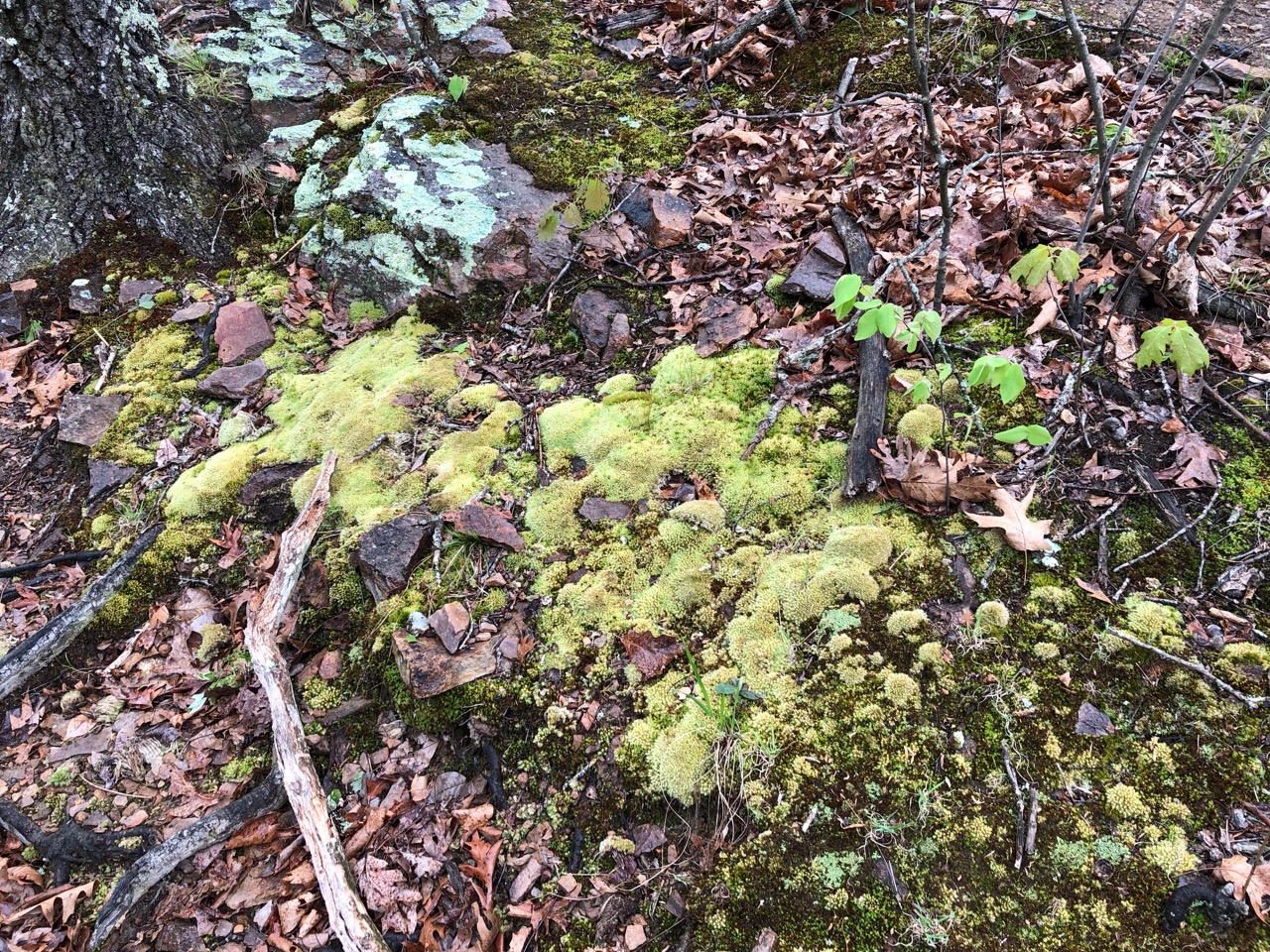 image-20240416233142-17.jpeg