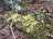 image-20240416233142-17.jpeg