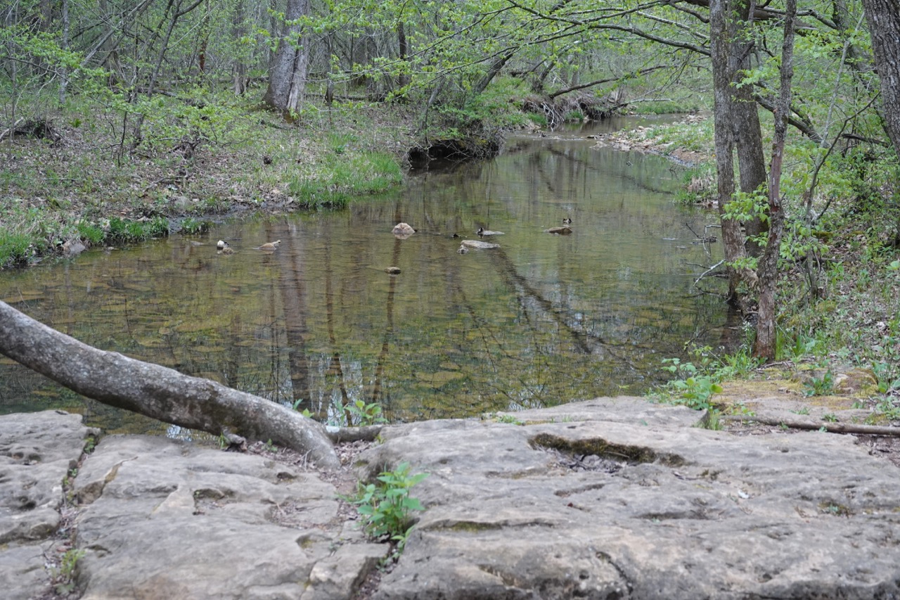 image-20240416235006-23.jpeg