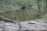 image-20240416235006-23.jpeg