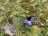 image-20240416235121-24.jpeg