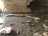 image-20240415091802-2.jpeg
